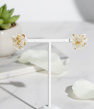 Victorian Bluegrass Frost